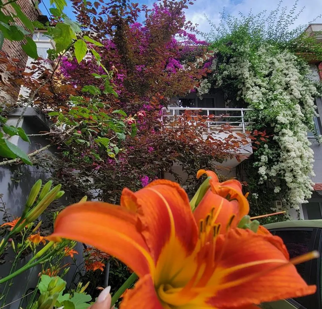 Apartment A Cheerful Villa With Free Parking Space Tirana Albania